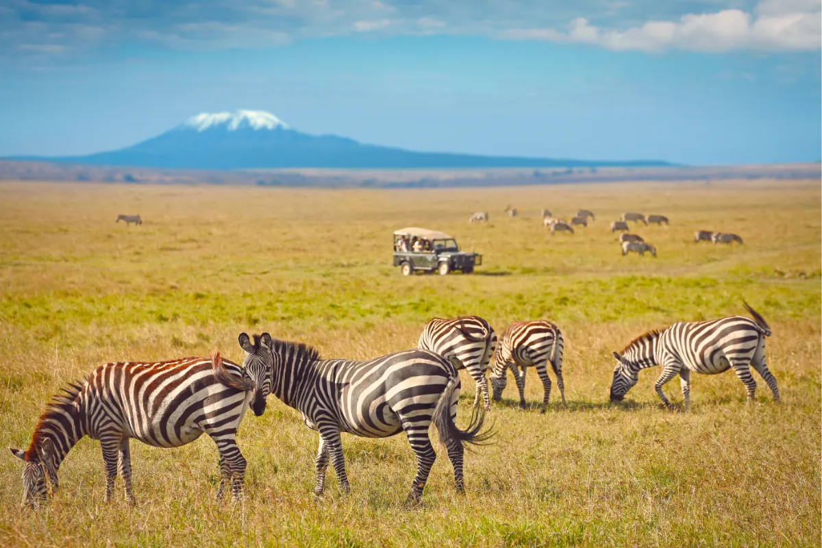 Amboseli National Park